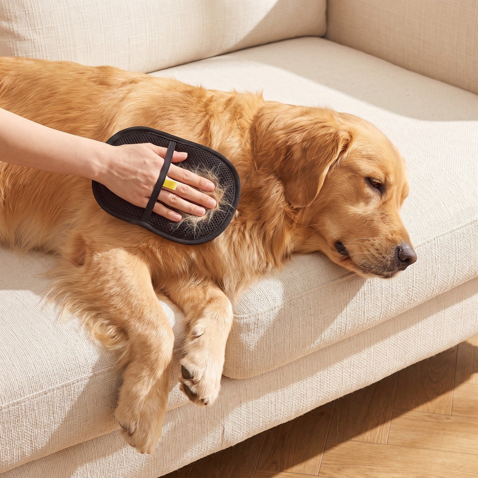 Dual-sided Petting Glove being used on a dog's coat